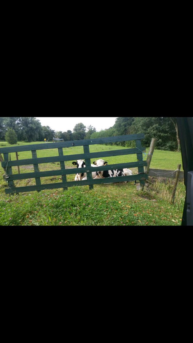 tinkerfuns tweet picture