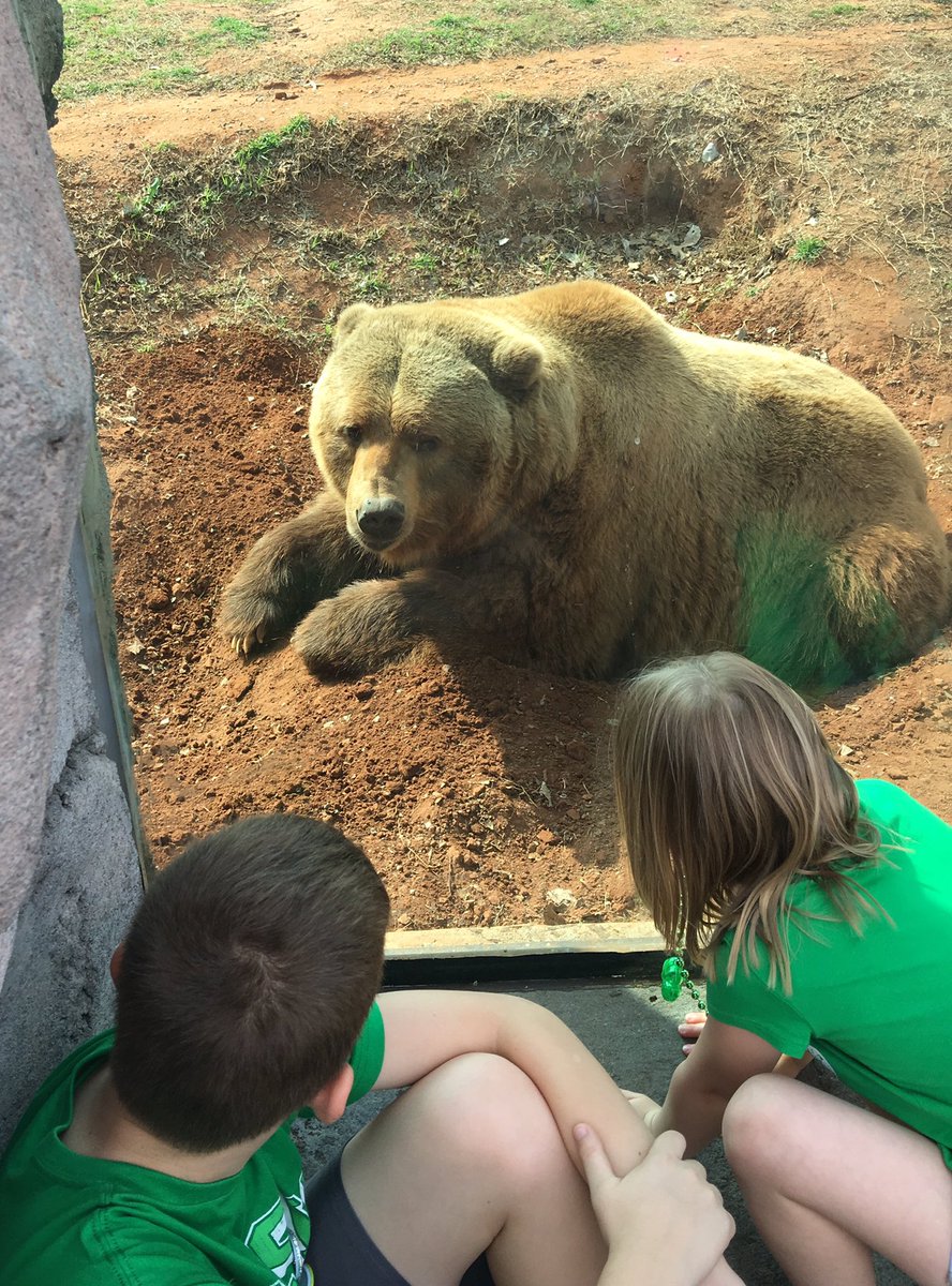 Debbie Grace tweet media