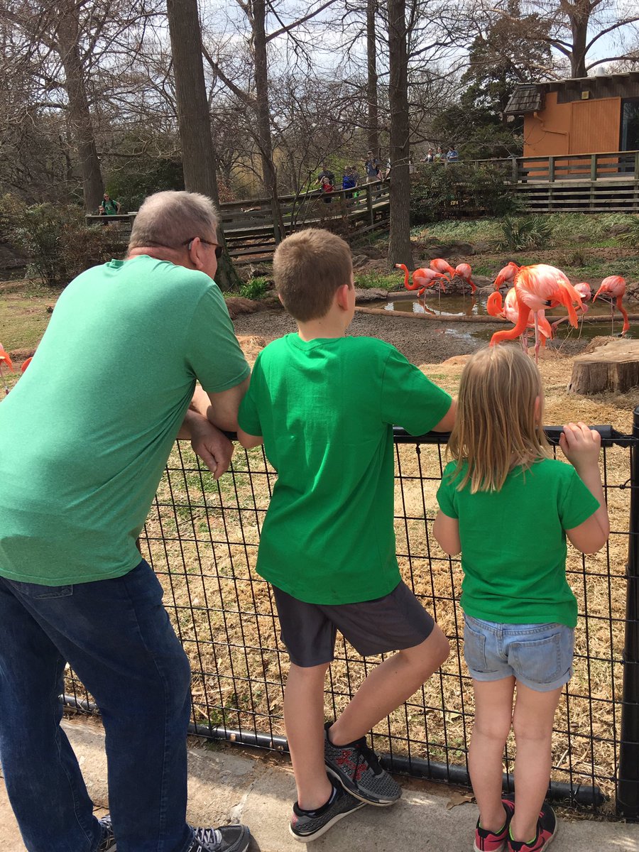 Debbie Grace tweet media