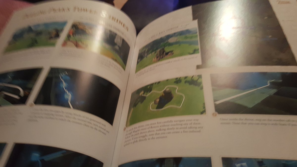 Essie_Boo's tweet image. This is an absolutely beautiful guidebook, but I can't read the damn tiny words 😭 #IAmOld #FailingEyesight