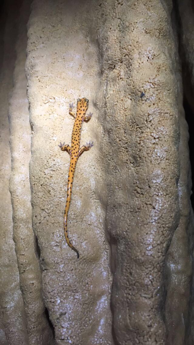 Brewer Lab tweet media