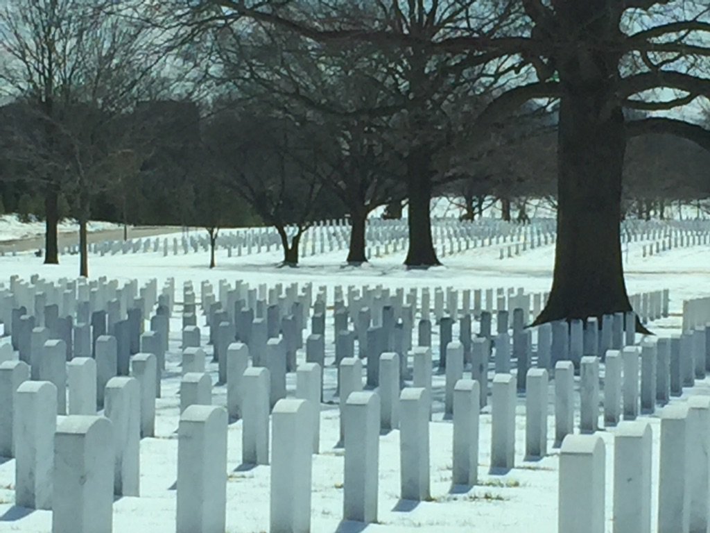 baby_grrrl's tweet photo. #ArlingtonNationalCemetery #AncestralPride #SacredGround #ProudToBeAnAmerican ๐บ๐ธ #DCBorn #MDResident https://t.co/0rUEEHfmAQ