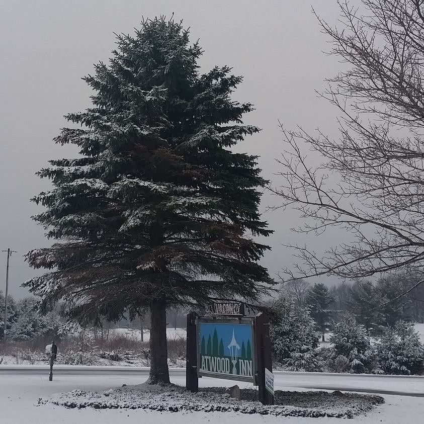 MotelPossible's tweet image. ift.tt/2mBIstd