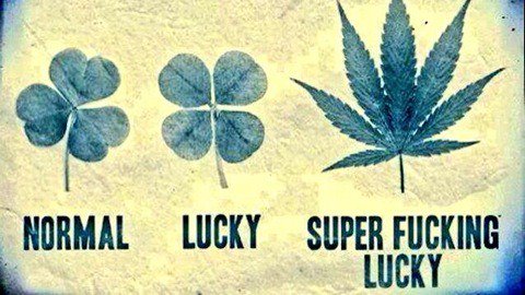 lyonsfinest's tweet image. Happy St Patrick's day! Keep thinking green!