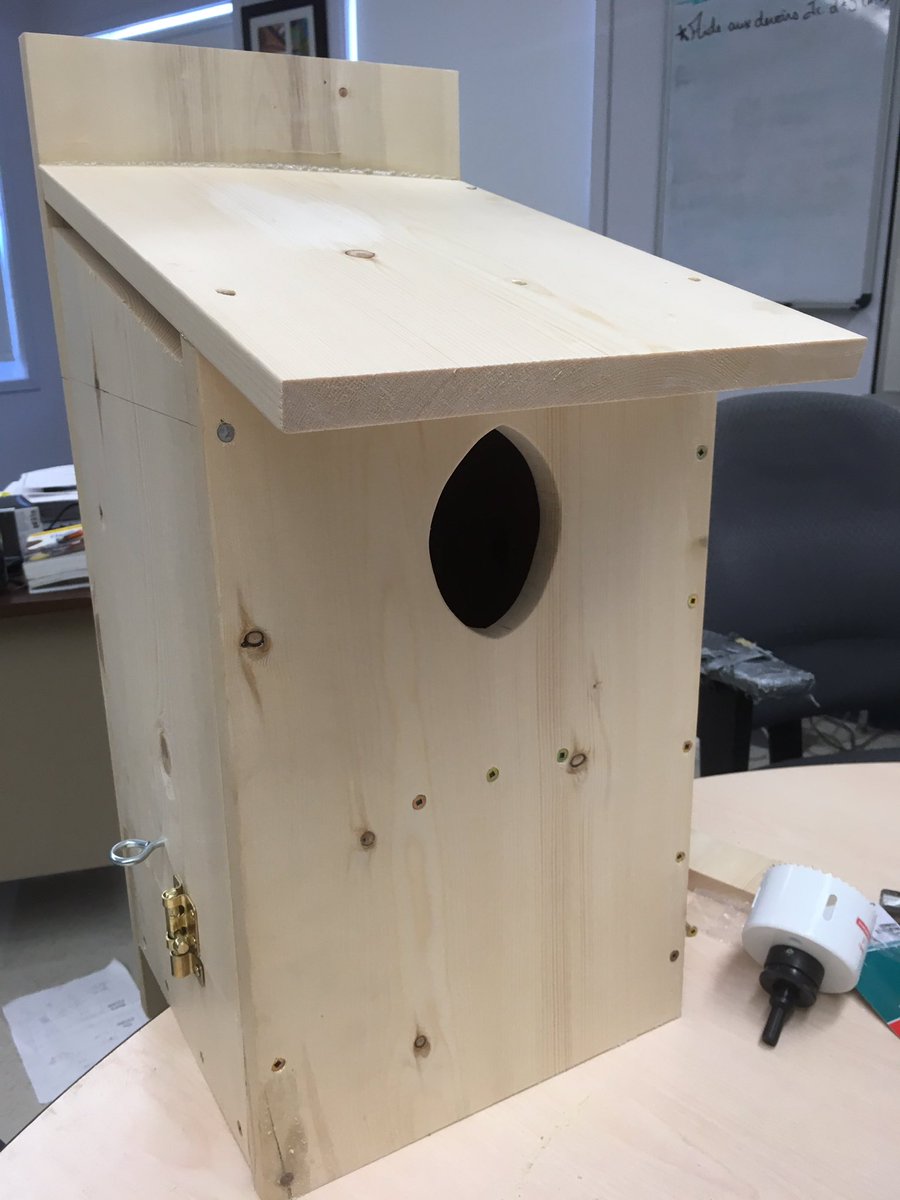 Upland_Hunter's tweet photo. La première boîte est complète! @Cefsk @DucharmeMJ #nidification #Crécerlles #APApleinair #sciences https://t.co/r55sT0BxFW