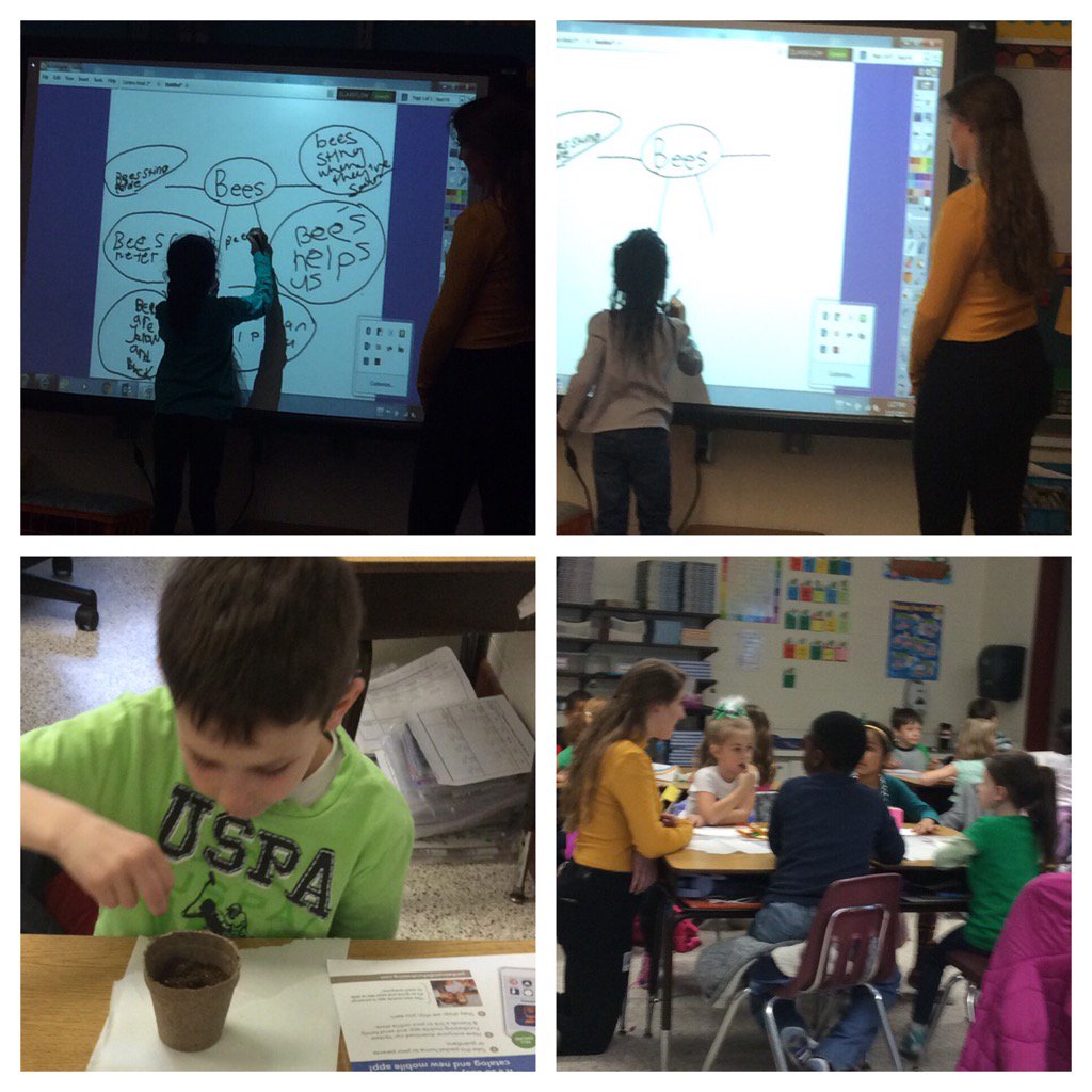 dbrennan70's tweet photo. THS Academy student, Ashley Sanico, teaching 1st grade about why we need to  protect bees. @davidbfrench @jehaws https://t.co/lvntuGnifp