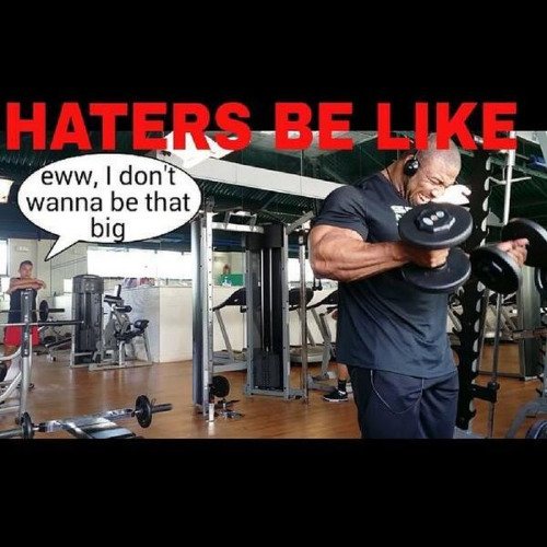 Gym Things tweet media