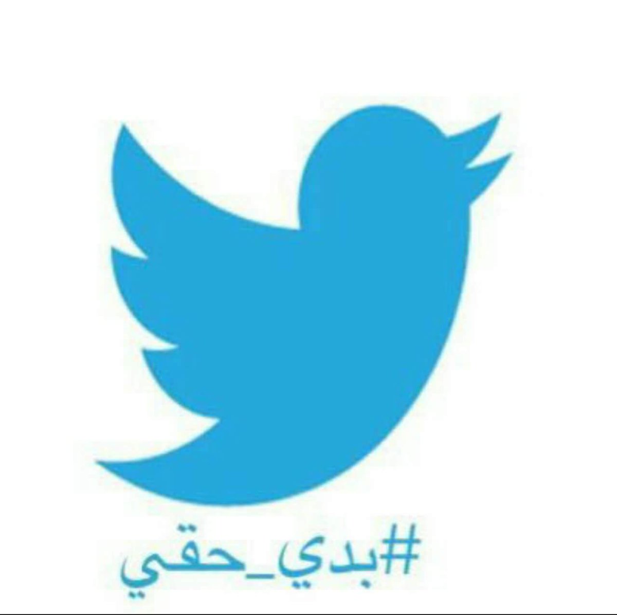 ChadiaGhazal's tweet photo. https://t.co/E8yfxCAwVS