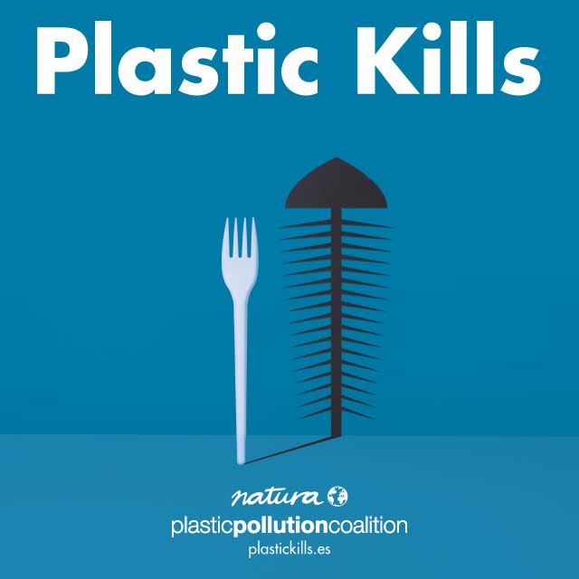 PlasticPollutes's tweet photo. 100,000+ marine mammals and 1 million seabirds die from #plasticpollution every year #PlasticKills https://t.co/0YtoP4iCS5 @naturaselection https://t.co/tNWsOiPJ1L