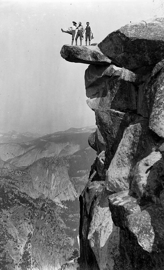 The Sequoia (@TheSequoia) / Posts / X