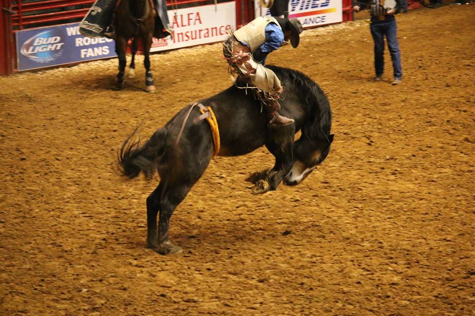 SLERodeo's tweet image. We've got another #SLERodeo17 PRCA Championship Rodeo performance for you TONIGHT at 7pm. Come see us at the Garrett Coliseum!