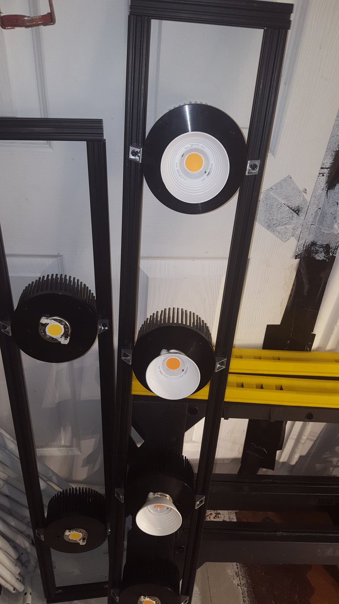 MassGenetics's tweet image. These are the best lights and I build custom LED lighting for indoor growing.