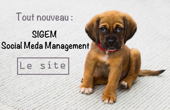 sigemSMM's tweet photo. [#EntreprisesRungis][#SocialMediaManagement] Petit bout deviendra grand.
Notre nouveau #SiteInternet est là :
https://t.co/GsqypMo96p https://t.co/LTpiDfgIAj