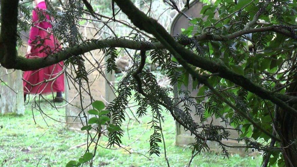 Beth Brownless tweet media