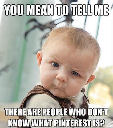 SocialCatnip's tweet image. #LOL
