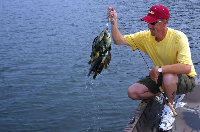 WFN's tweet image. Spring #Fishing Tips: Catch you fair share of Small Pond #Bream, #Crappie, #Catfish &amp;amp; MORE! Click HERE: bit.ly/2nwouW1