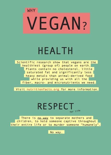 #vegan #truth
🌍🌱🐄