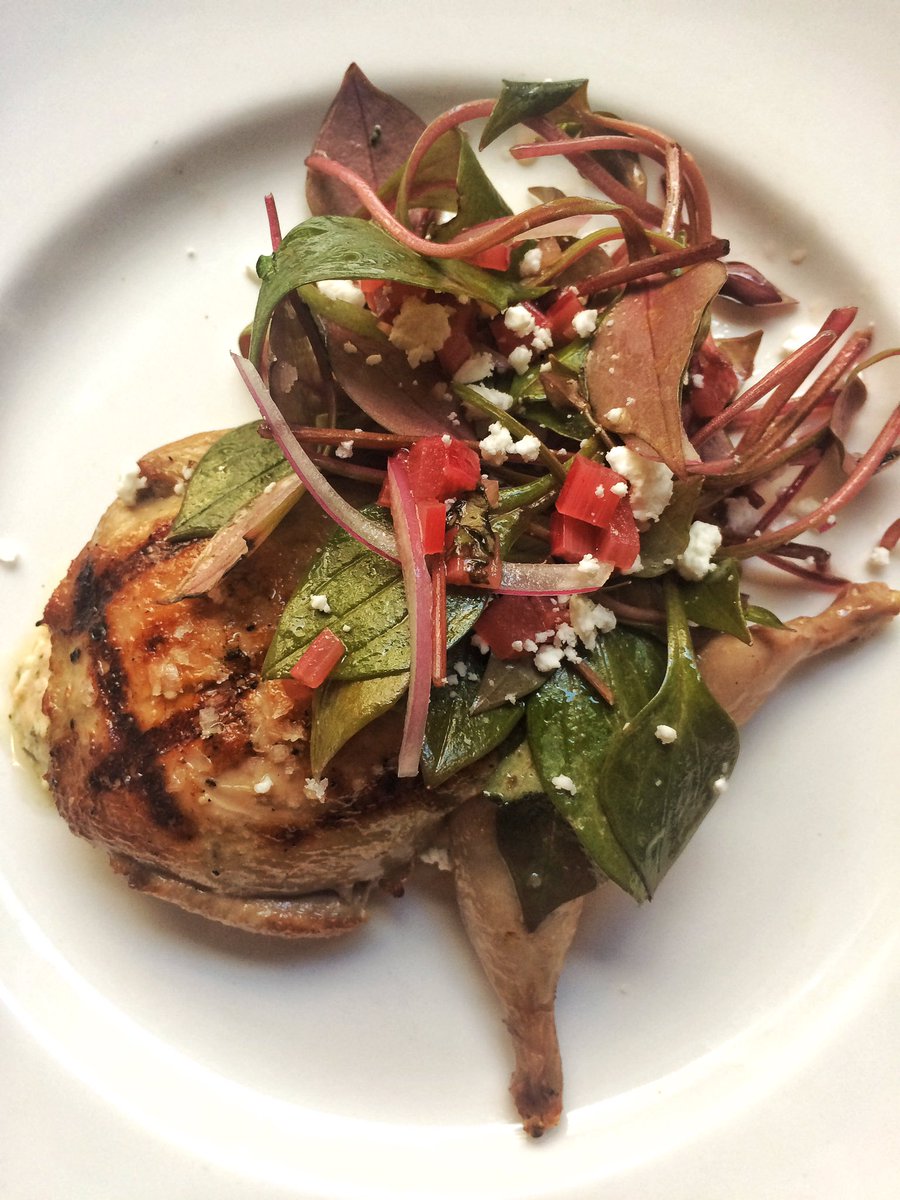 Little Bird Bistro tweet media