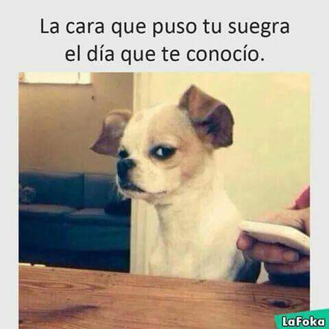 eleniux801's tweet photo. #Cierto #SuelePasar https://t.co/BeBWaL9lkm
