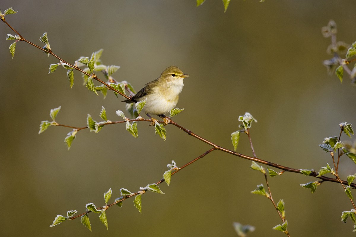 Get your cameras at the ready! Our annual #photographic #competition will open next month! naturalworldcentre.co.uk/news/photograp… <a href="/GuildhallStudio/">Guildhall Studios</a>