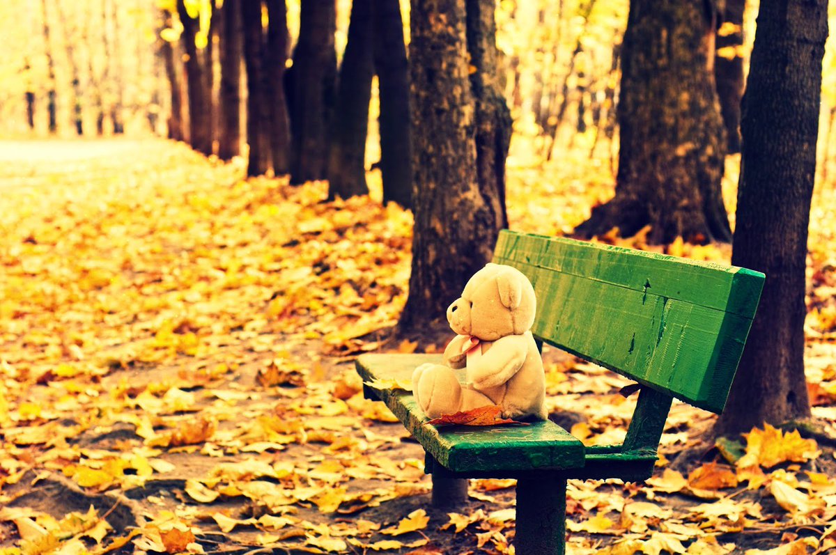 Feeling lost