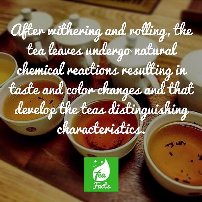 teafact_s's tweet photo. So much goes into your tea!🙏🍵
-
-
-
-
-
#tea #teatime #instatea #tealife #ilovetea #teaadd… https://t.co/Kv2VgjIoct https://t.co/yeiS5ay4eI