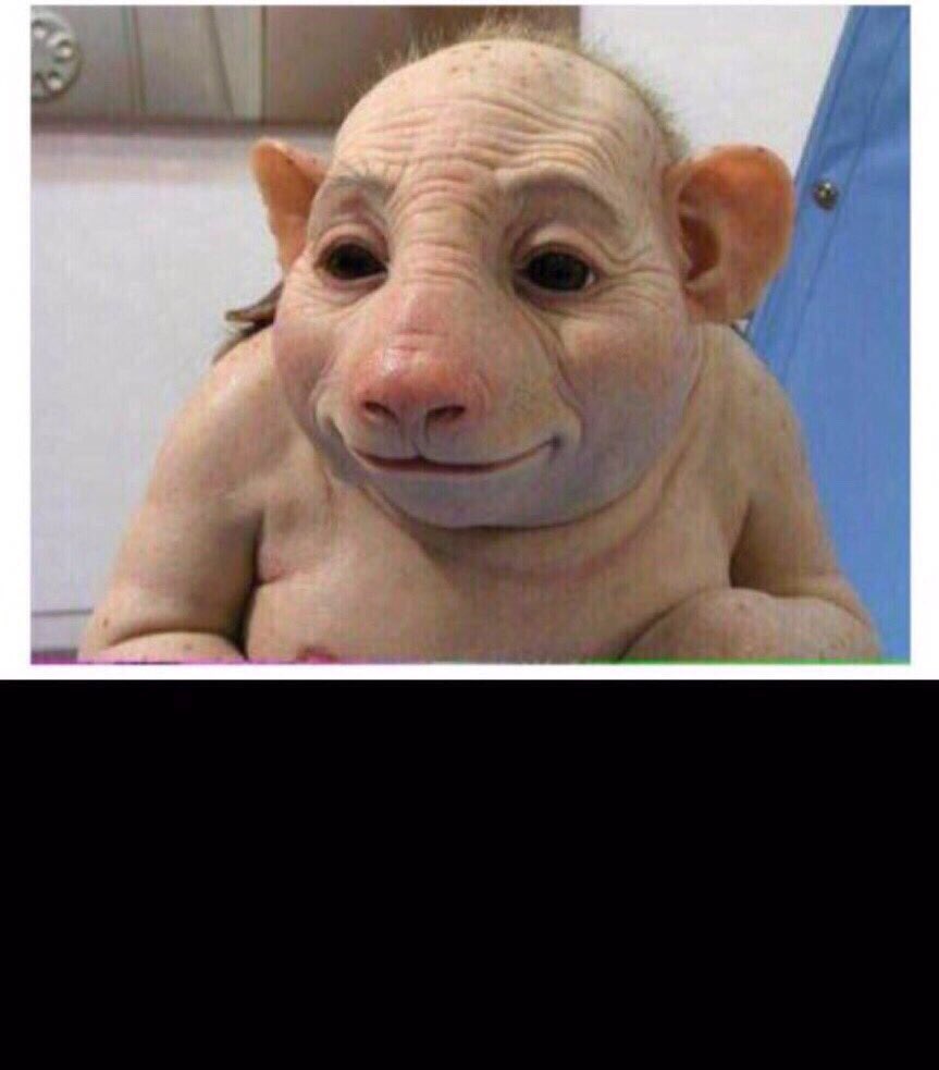 #مسلمين_و_نحب_المثليين أشكال اللي يطالبون في الهاشتاق