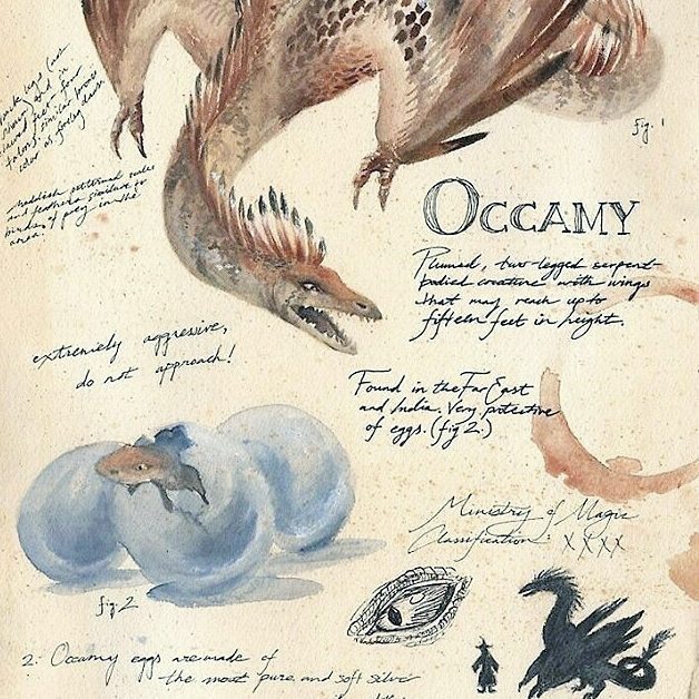 CorinneLeenheer's tweet photo. Quel merveilleux moment...tellement de messages dans ce film...
#bienveillance #instadiscover #fantasticbeasts #ani… https://t.co/Hx9WPLSjeK