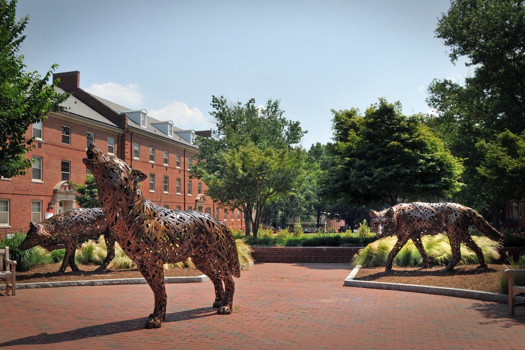 Students2021's tweet photo. North Carolina State University ❤️⚪️💯 #NCState21 #NCSU21 https://t.co/5ZgvnQXvQO