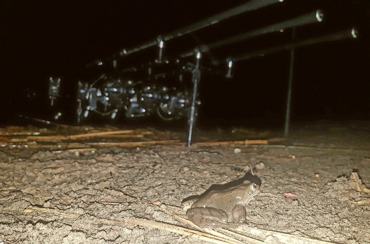 FishermanPoolie's tweet photo. At least i wont be lonely tonight! https://t.co/4LB4Vuu3bN