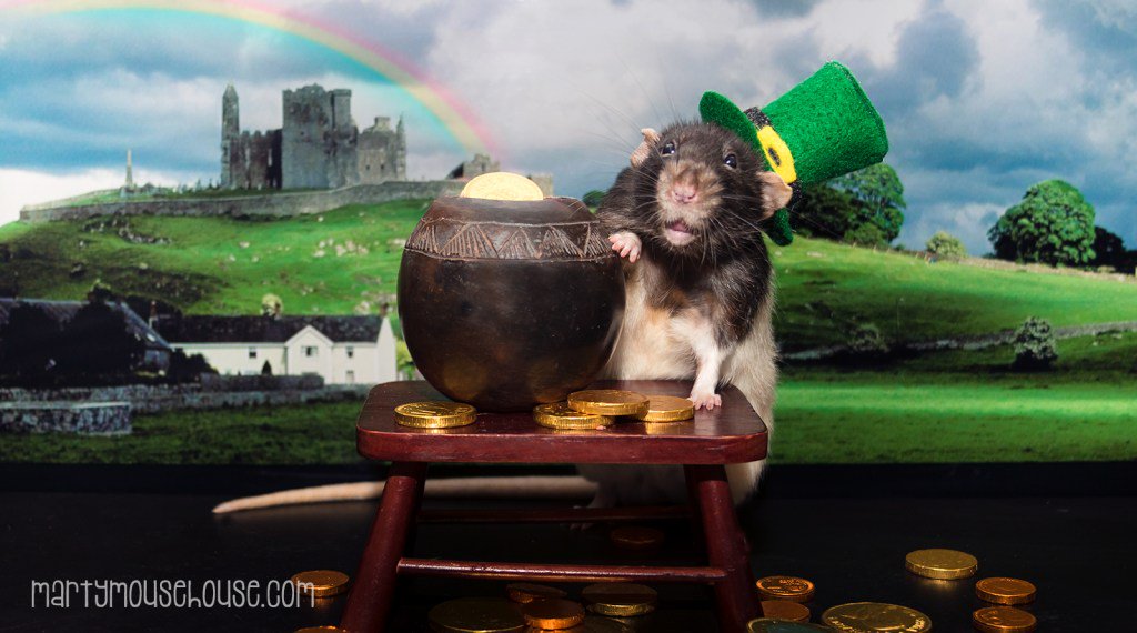 Pot ob Gold martymousehouse.com/2017/03/pot-ob…