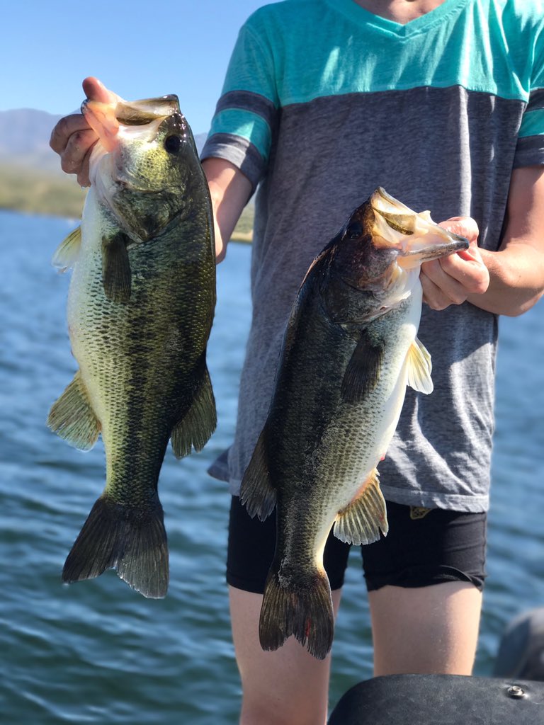gick___noss's tweet photo. It's that time of the year again🎣 (yes I have no pants on) https://t.co/MdU5LNHytz