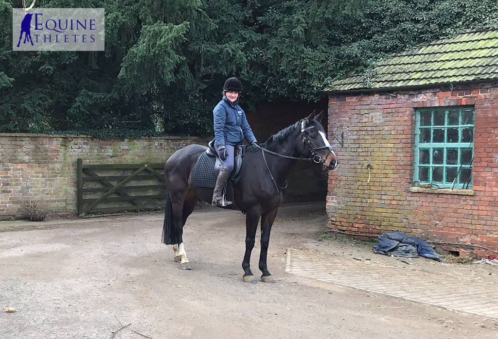 Project Austin equineathletes.co.uk/2017/03/17/pro…