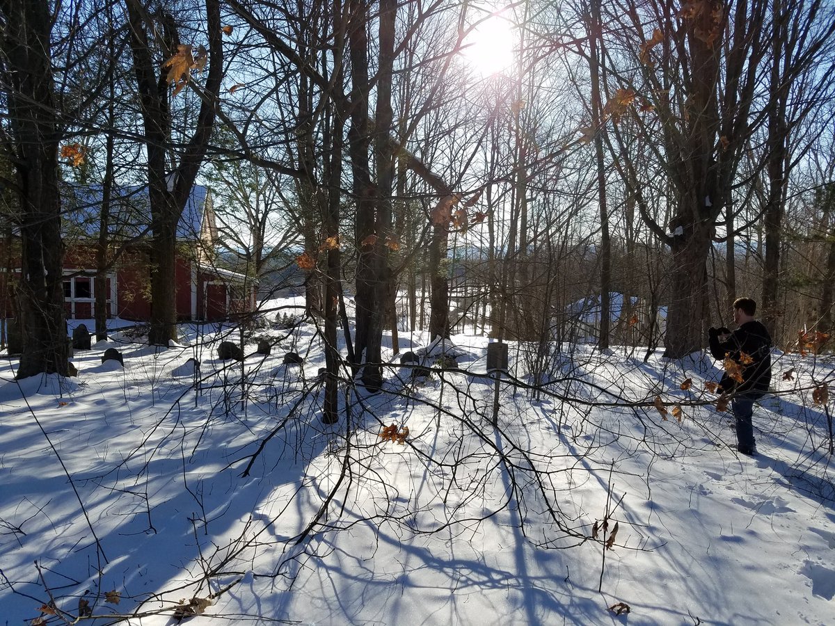 thealtacademic's tweet photo. No snow is too deep to deter serious #graveyarding @Nolan_Cool https://t.co/lzGoBKiVRT