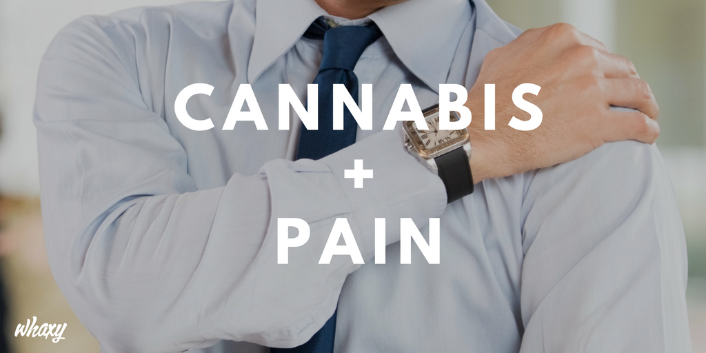 ThinkTankExile's tweet photo. Chronic Pain Is No Match for #Cannabis - How It Helps https://t.co/MYPzLagdBV https://t.co/nQsdsgyL1o