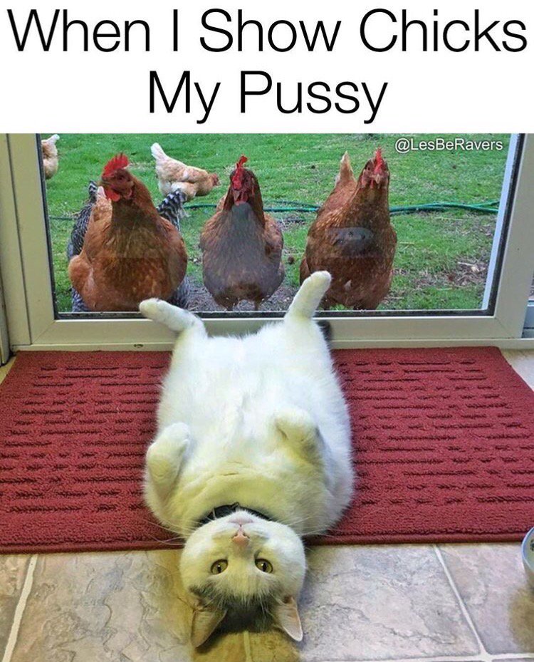 Always show chicks your pussy. https://t.co/ZtDQu8uAdO