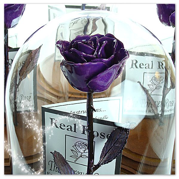 TheForeverRose's tweet photo. WIN THIS "BEAUTY AND THE BEAST" INSPIRED FOREVER ROSE! https://t.co/vZkM1o4Y5d https://t.co/BgmZhjI4NG