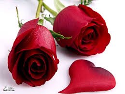 wewe10005's tweet photo. @_LordKhaled https://t.co/ZPnkmo7yeC