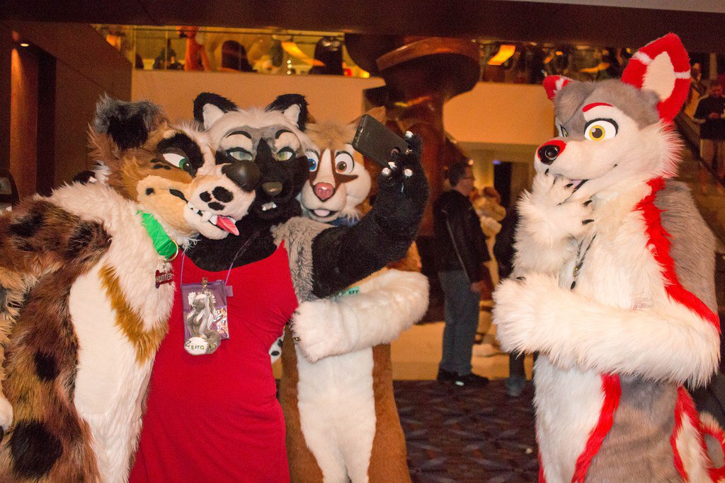 casidhe's tweet photo. Happy #FursuitFriday!  Here’s one from #MWFF2016 of Zeit doing a silly selfie with other Mixedcandy suiters. https://t.co/oUd9fx0JWp