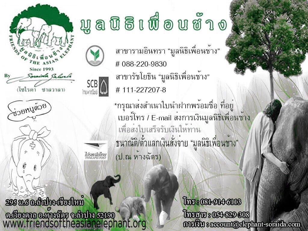 ช่วยๆกันเนอะ? รุ่นต่อๆไปจะได้รู้กันว่าช้างคืออะไร = ]