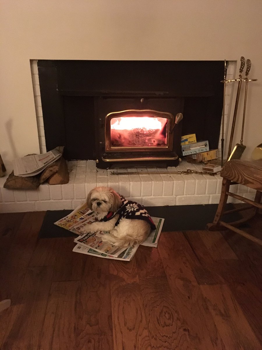 modernirish's tweet photo. Gull is bloody well pleased I finally fixed it after a half hour of trying.  #sopersistent #pyromaniacpoet #nowforthestars ❤️ https://t.co/8ZS5MPkJg2