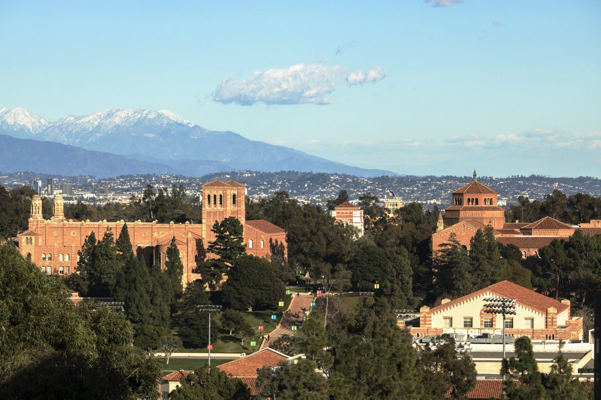 Daily Bruin tweet media