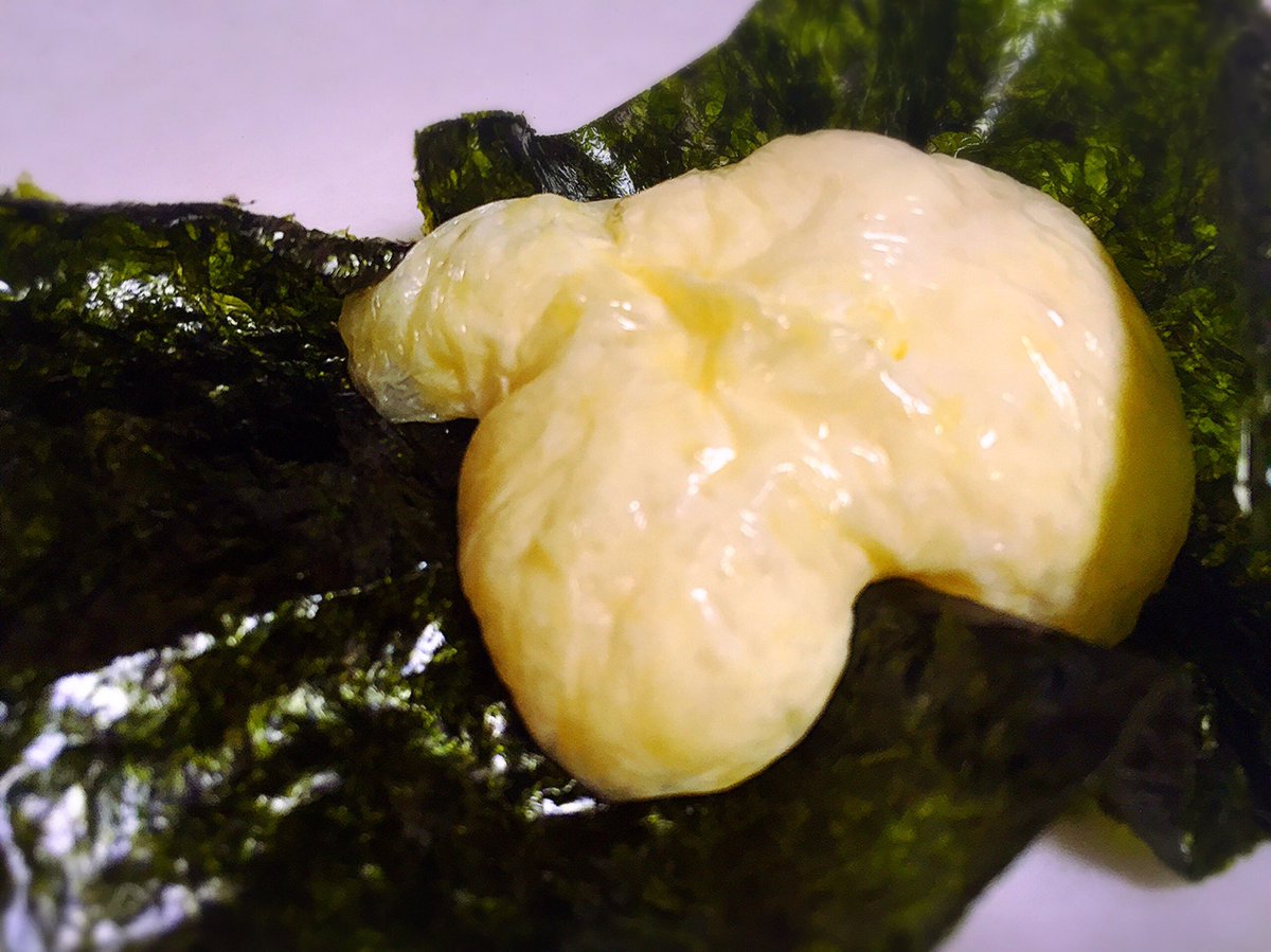 6pチーズを海苔に乗せて電子レンジで1分チンしたらめっちゃ膨らんだ 写メだと分かりづらいけど溶けるっていうかパンパンに膨らむ 餅チーズみたいになって うまい 醤油かける 鎌田紘子 Scoopnest