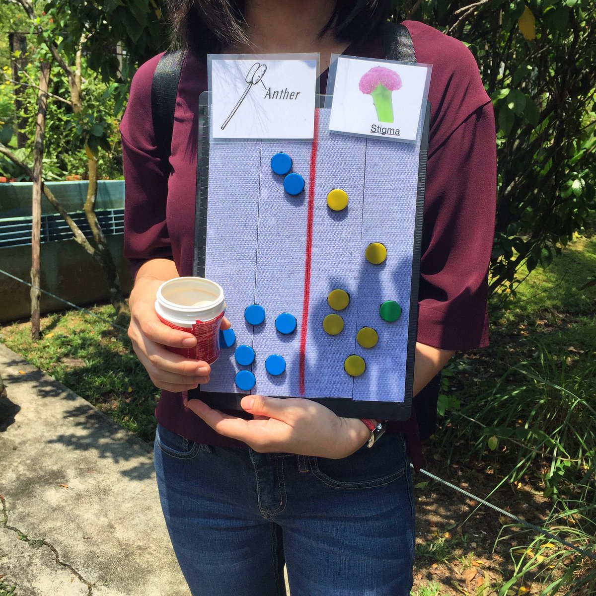 Teaching G2 students about pollination. The children often have the misconception that pollen and nectar are the same. Not any more. <a href="/ibpyp/">IB PYP</a>