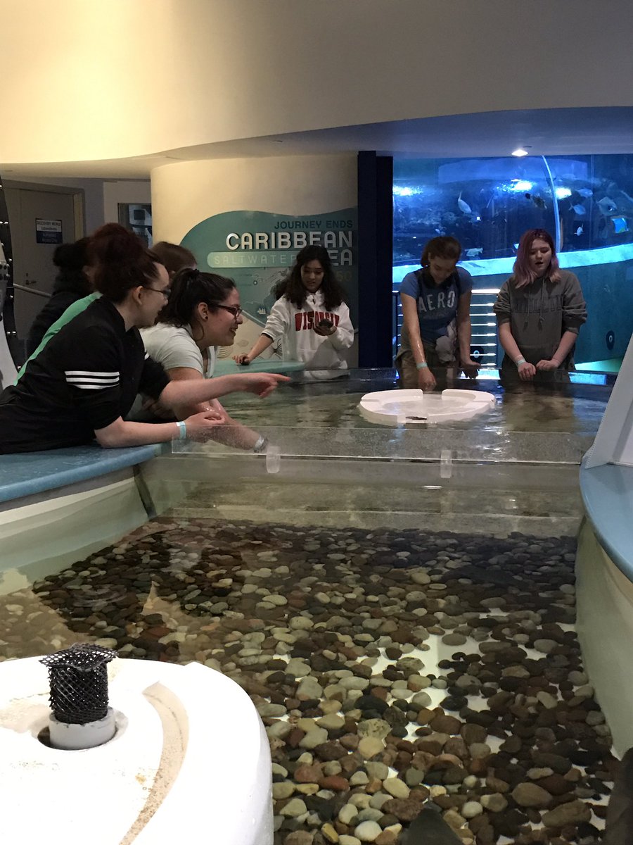 ReutherChad's tweet photo. Having more fun learning @discoveryworld on day two of Who Arted? intensive. #wearereuther #Milwaukee #pettingfish https://t.co/nLrGyFDmKs