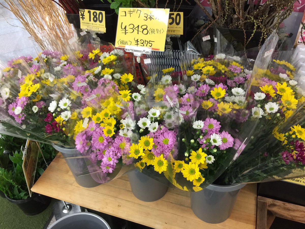 フラワーショップレン 公式 على تويتر フラワーショップレンは どうやら花屋が卸す直売所より品揃え豊富で格段にお安いとのこと ご報告いただきました 誠にありがとうございます お供えに相応しい国産品です 等級も高くとても美しいです 日光市 花屋