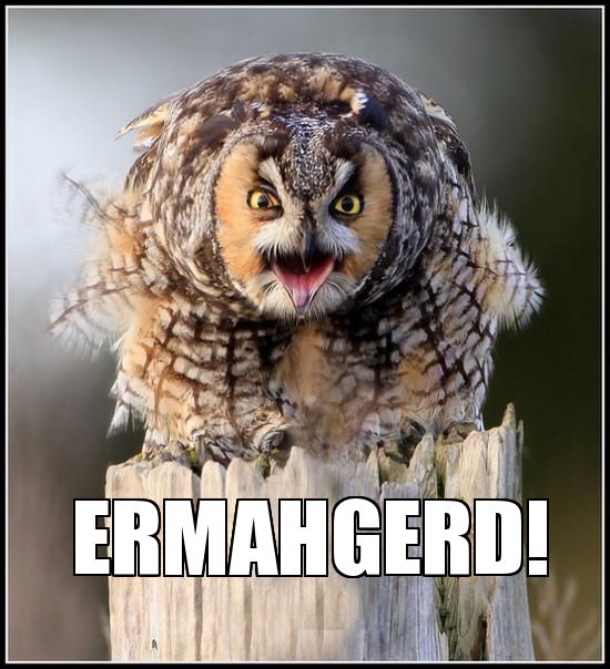 DatCrazyOwl's tweet photo. @veebex https://t.co/IN0F4Mm0XF