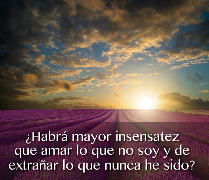 MaribelPalma14's tweet image. 