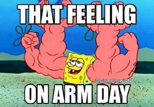 Gym Things tweet media