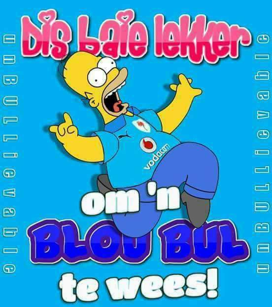 Marlenedv's tweet photo. @steve_hofmeyr Kaapstad kan maar boo want dis lekker om n bloubul te wees!! https://t.co/4JCAf6gmYz